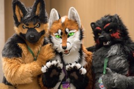 Eurofurence 29