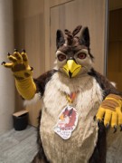 Eurofurence 29