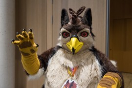 Eurofurence 29