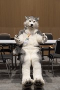 Eurofurence 29