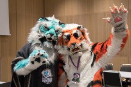 Eurofurence 29
