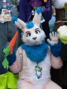Eurofurence 29