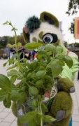 Eurofurence 29
