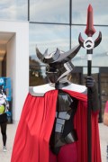 Eurofurence 29