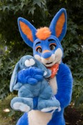 Eurofurence 29