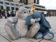 Eurofurence 29
