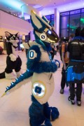 Eurofurence 29