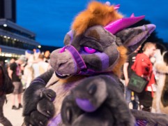 Eurofurence 29