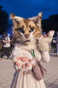 Eurofurence 29