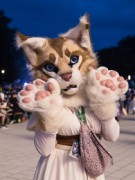Eurofurence 29