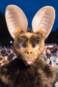 Eurofurence 29