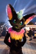 Eurofurence 29