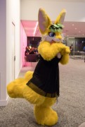 Eurofurence 29