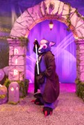 Eurofurence 29