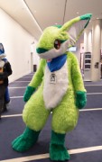 Eurofurence 29