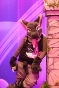 Eurofurence 29