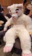 Eurofurence 29