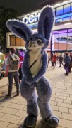 Eurofurence 29