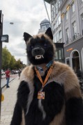 Eurofurence 29
