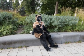 Eurofurence 29