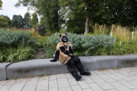 Eurofurence 29