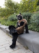 Eurofurence 29