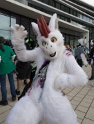 Eurofurence 29
