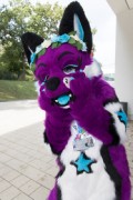 Eurofurence 29