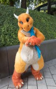 Eurofurence 29