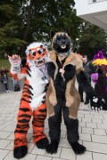 Eurofurence 29