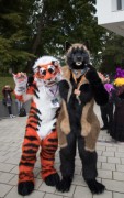 Eurofurence 29