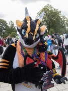 Eurofurence 29