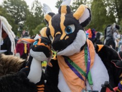 Eurofurence 29