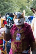 Eurofurence 29