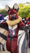 Eurofurence 29