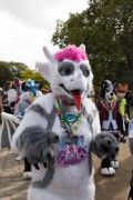 Eurofurence 29
