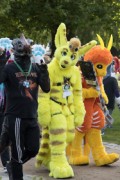 Eurofurence 29