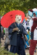 Eurofurence 29