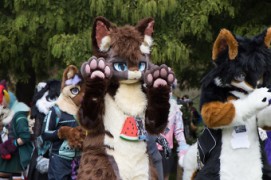 Eurofurence 29