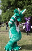 Eurofurence 29