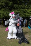 Eurofurence 29