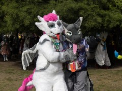 Eurofurence 29