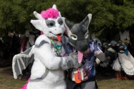 Eurofurence 29