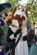 Eurofurence 29