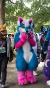 Eurofurence 29