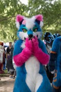 Eurofurence 29
