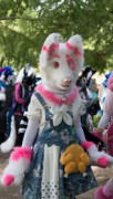 Eurofurence 29
