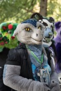 Eurofurence 29