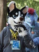 Eurofurence 29