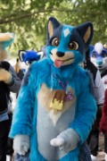 Eurofurence 29
